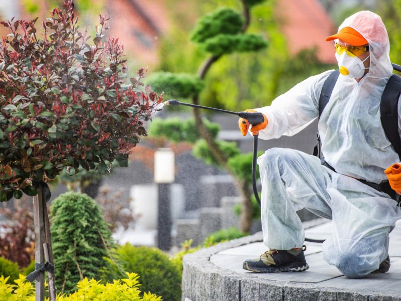 Özkanlar Haşere İlaçlama